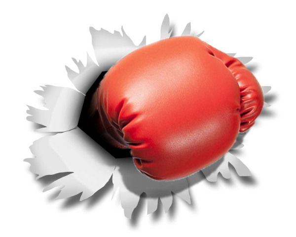 Martial Arts & Boxing